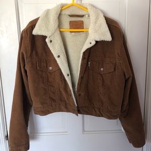 Levi’s corduroy shearling lined cropped jacket